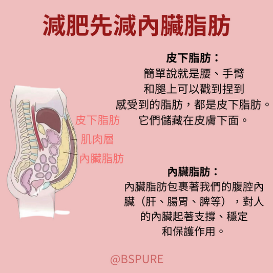 瘦身指南：減肥先減內臟脂肪