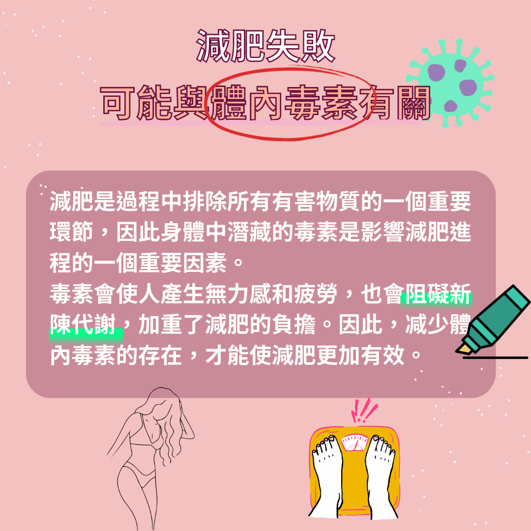 瘦身指南：減肥失敗，可能與體內毒素有關